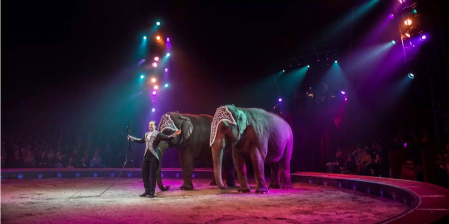 Danke, das wars: Nach fast 100 Jahren führte der Circus Knie 2015 zum letzten Mal eine Elefantennummer vor.