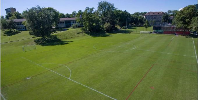 Sportplatz Steigerhubel Sportplatz Steigerhubel