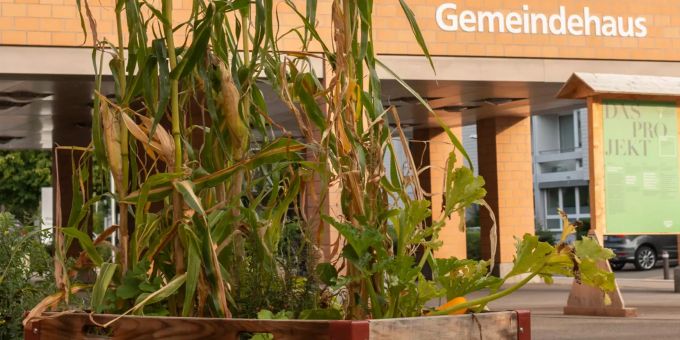 Der KulturGarten beim Gemeindehausplatz Steffisburg Gemeinde
