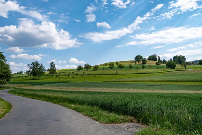 Sonnige Wiesen in Teufenthal.