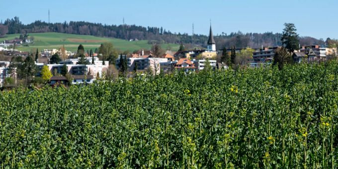 Rafzfeld bei Bolligen. - Bolligen Rafzfeld bei Bolligen. - Bolligen
