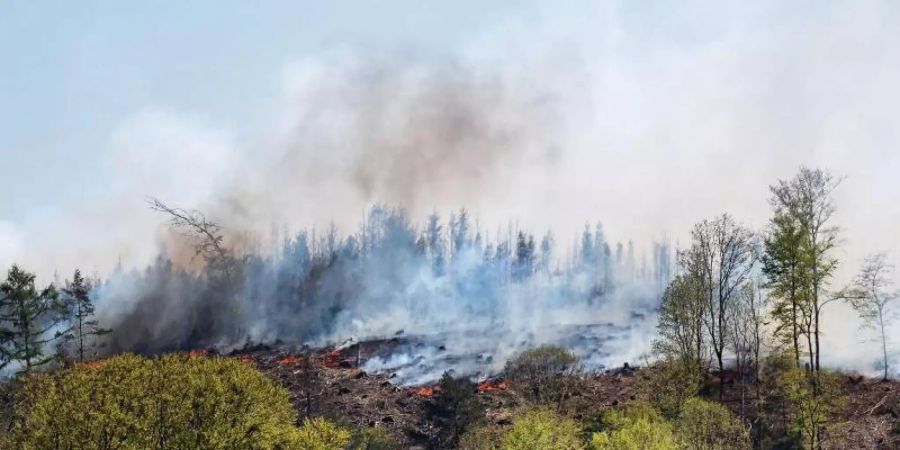 Rauch steht über einem Waldstück bei Gummersbach. Foto: Markus Klümper/dpa