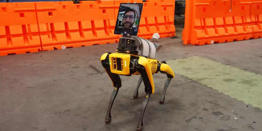 Roboter Boston Dynamics