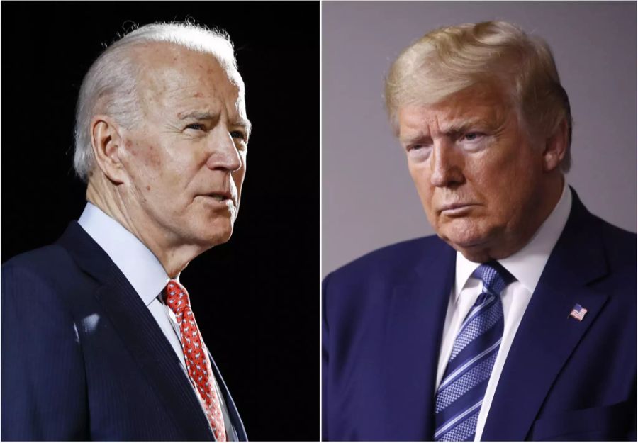 Joe Biden Vize Trump