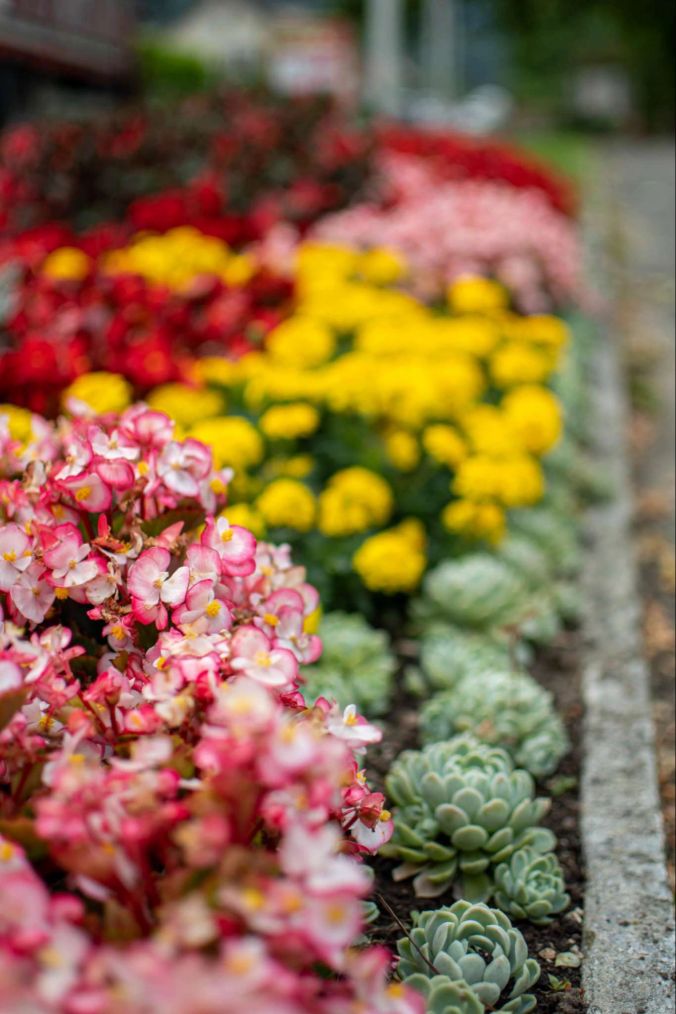 Viele Farben: ein. buntes Blumenbeet neben der Teufethaler Strasse.