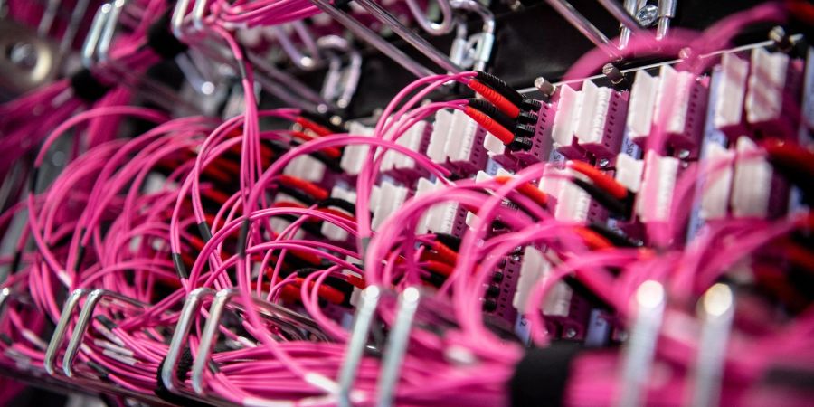Glasfaserkabel in einem Netzwerk-Switch. In Kanada verlinkte ein Ministerium auf eine nicht ganz jugendfreie Seite.