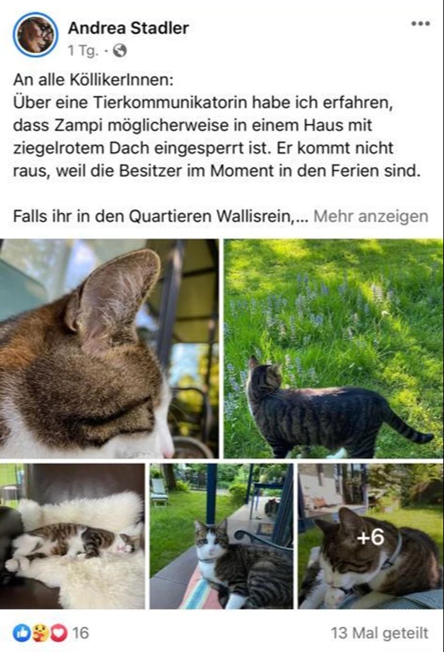 Katze