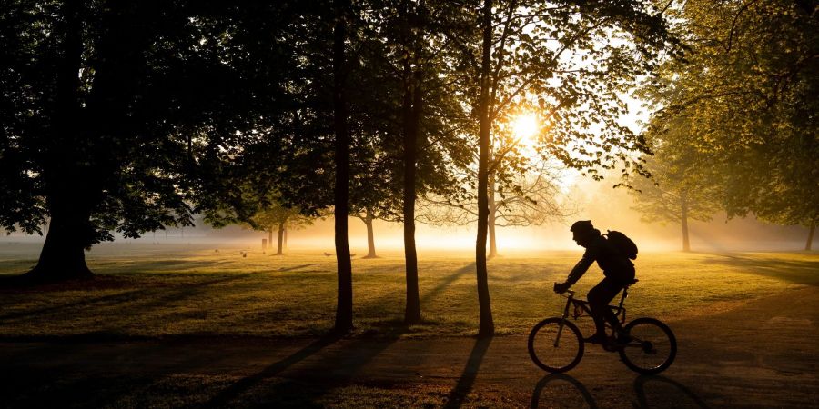 Eine Mann radelt bei Sonnenaufgang durch den Englischen Garten in München.