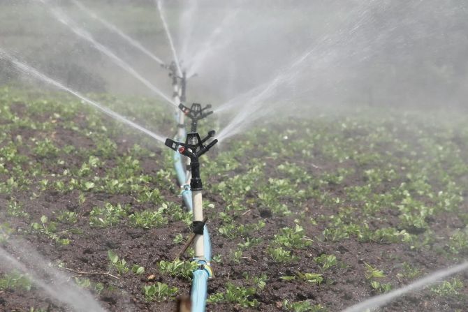 Wässerwasser