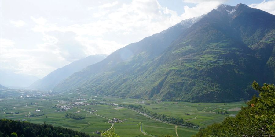 Vinschgau
