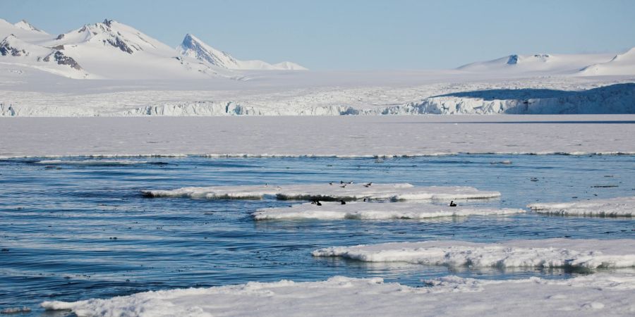 arktis, meer, eismeer