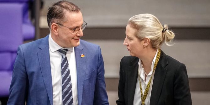 Tino Chrupalla Alice Weidel