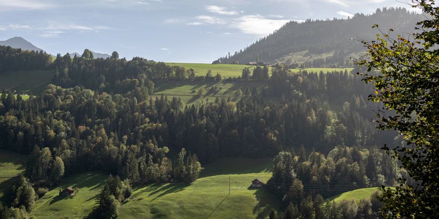 Simmentaler Landschaft. - Erlenbach im Simmental