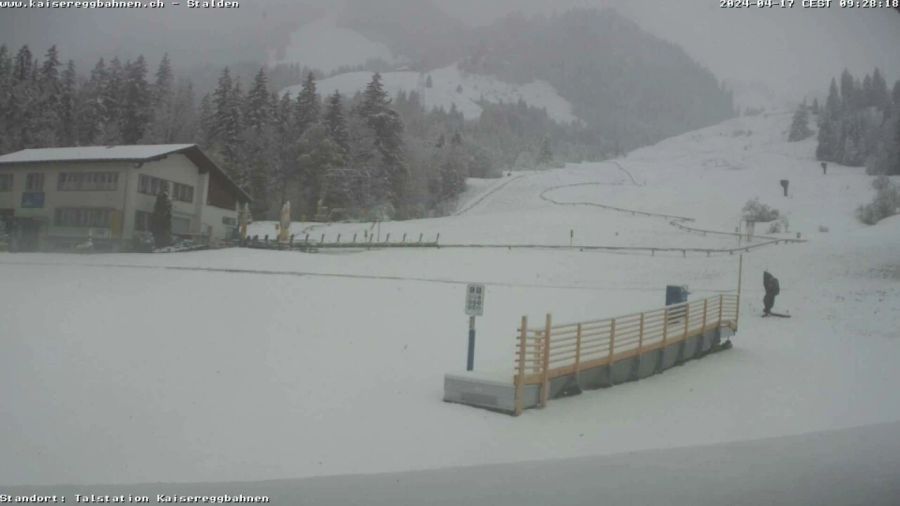 Heute liegt eine dünne Schneeschicht auf den Wiesen.