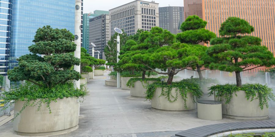 Skygarden, Seoul, Südkorea, Park, Garten