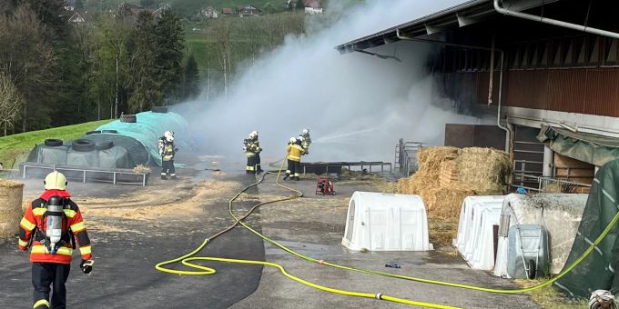 Alle Tiere gerettet - Brand in Rinderstall in Günsberg SO