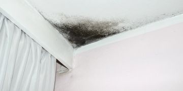 Schimmel an der Decke