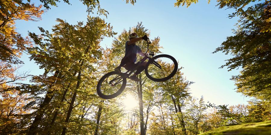 Wald Mountainbiker Sprung Sonne