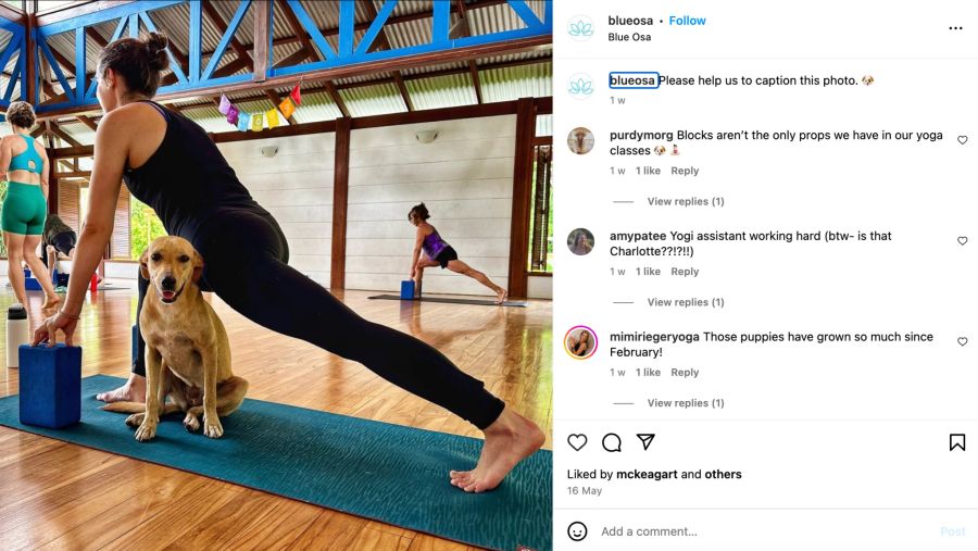 Frau macht Yoga mit Hund auf der Matte.