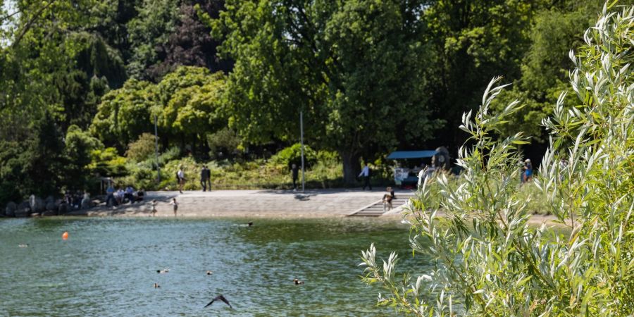 Zürich