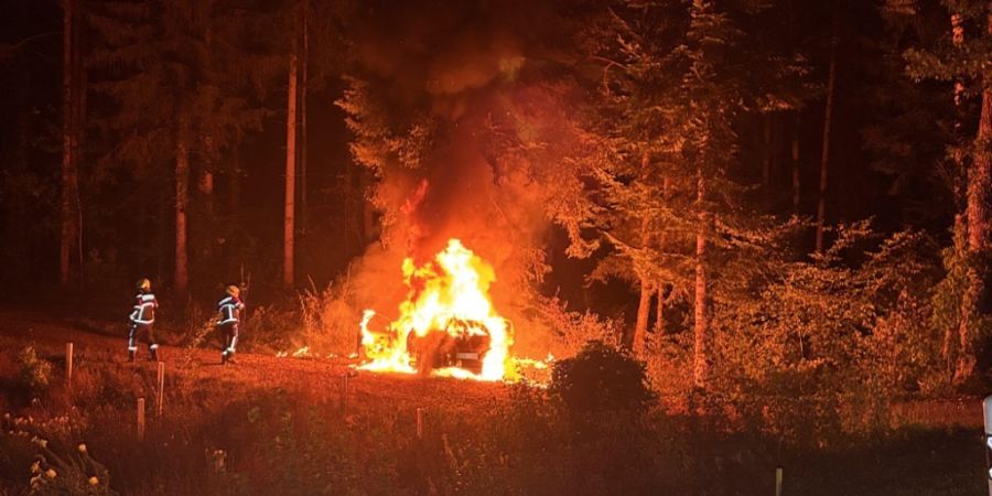 Ersthelfer befreiten die vier Personen aus dem brennenden Fahrzeug.