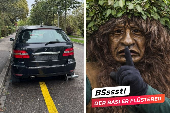 basler flüsterer