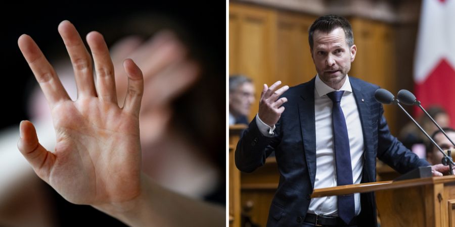 SVP häusliche Gewalt Migration