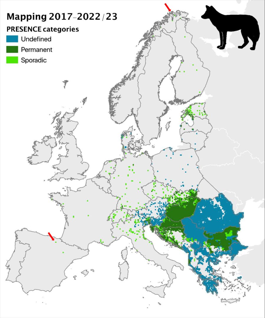 Verbreitung Goldschakal Europa