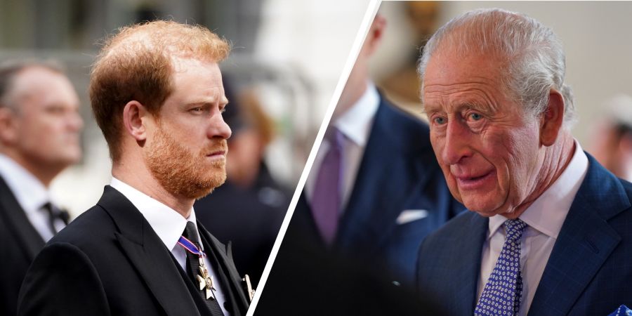 König Charles Prinz Harry