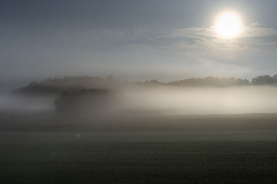 Im Thurgau dürfte sich am Samstag wie hier bei Matzingen, im Verlauf des Tages die Sonne zeigen.