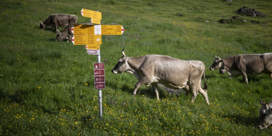 Ein gelber Wegweiser mit weiss-rot-weisser Spitze schilderte den Heidiweg im Pizolgebiet als «Bergwanderweg» aus. Eine Ausschilderung als Rollstuhlweg gab es nicht. (Symbolbild)