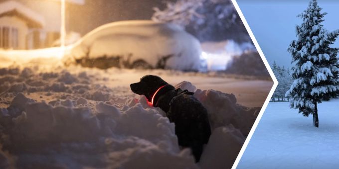 In den Bergen hat es bis zu 60 Zentimeter Neuschnee gegeben. Neuschnee