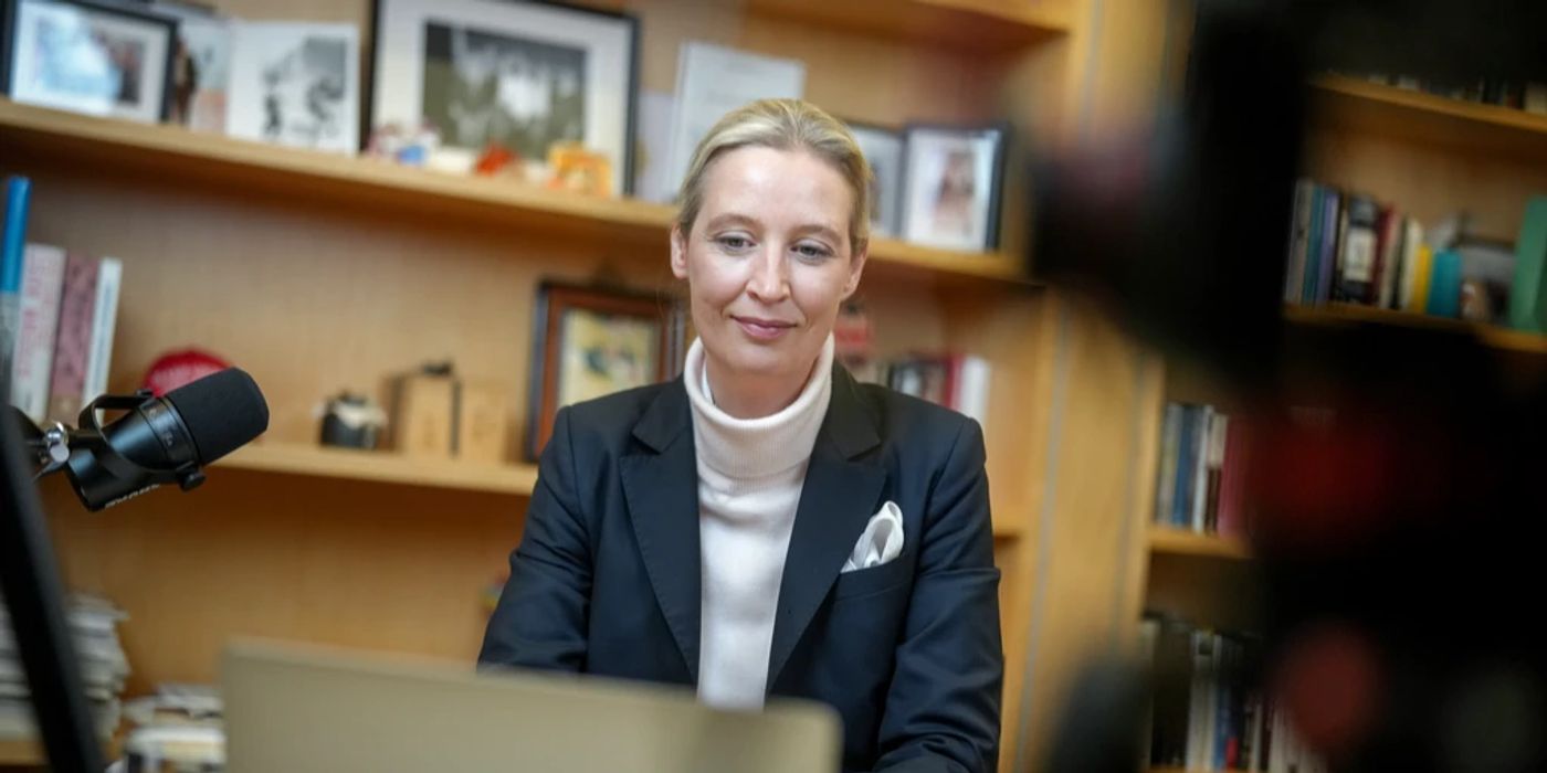 alice weidel elon musk gespräch