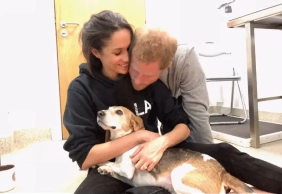 Kuscheln zu dritt mit ihrem geliebten Haustier: Meghan Markle, Prinz Harry und Hund Guy.