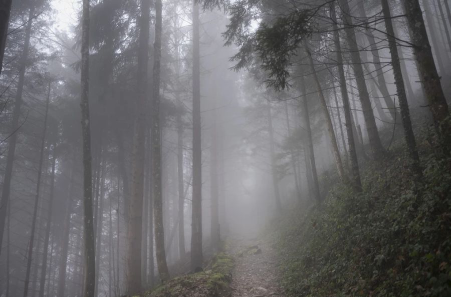 Die zweite Woche wird unbeständig. Bei wechselnder Bewölkung sind Niederschläge möglich. (Bild aus Goldau)