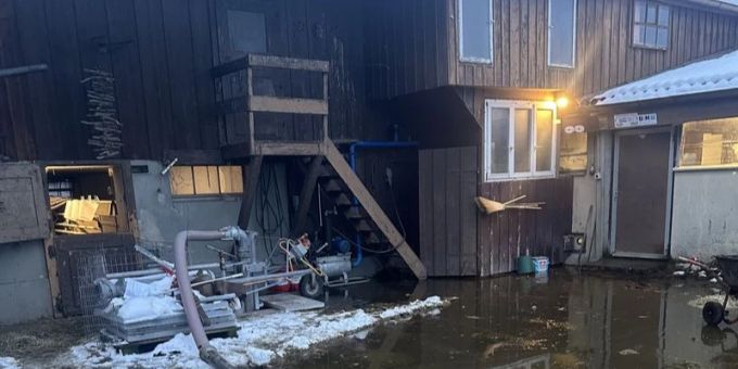 Herisau: Jauche in Schacht gelangt. Jauche in Schacht