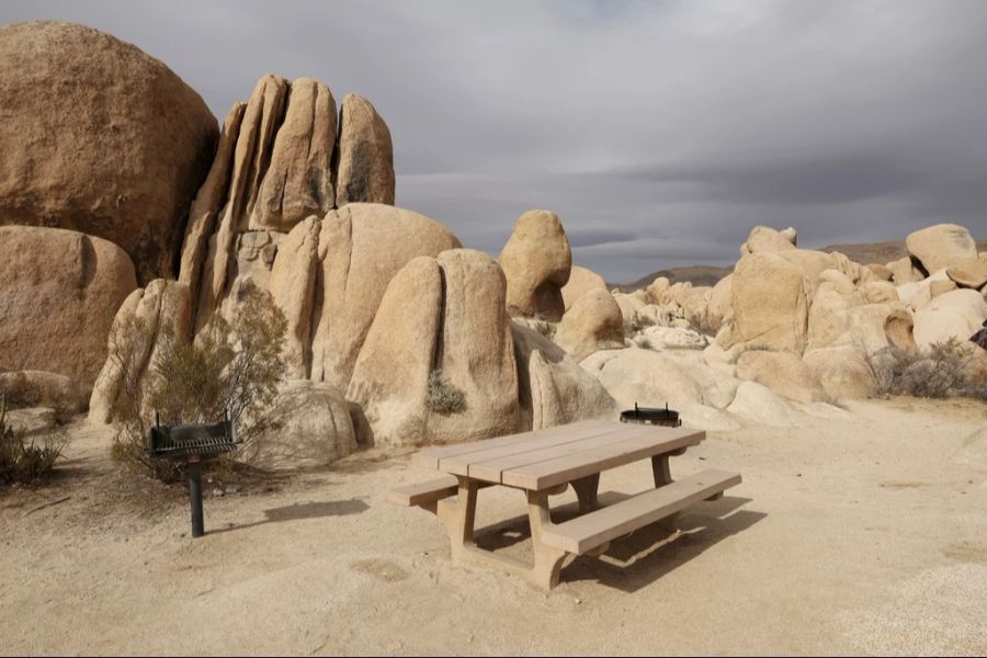 So wurden Tausende Park Ranger entlassen, das könne zu lebensgefährlichen Situationen in den Nationalparks führen.