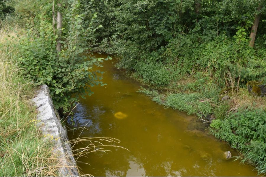 Das stark chlorhaltige Wasser gelangte so in zwei Bäche und verschmutzte das Wasser. (Symbolbild)