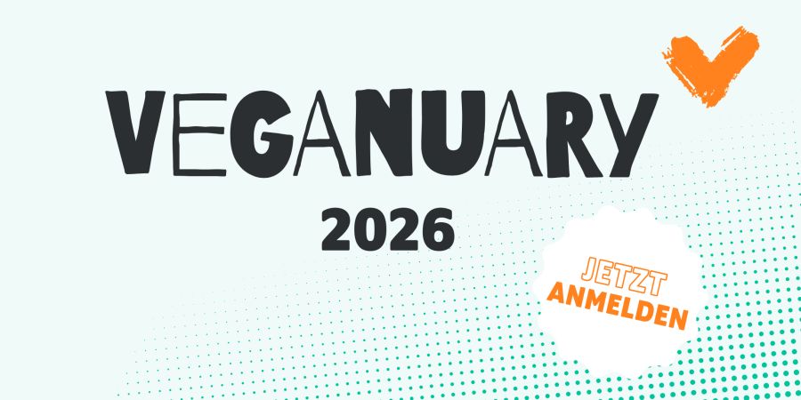 Melde dich jetzt an und starte das Jahr 2026 vegan!