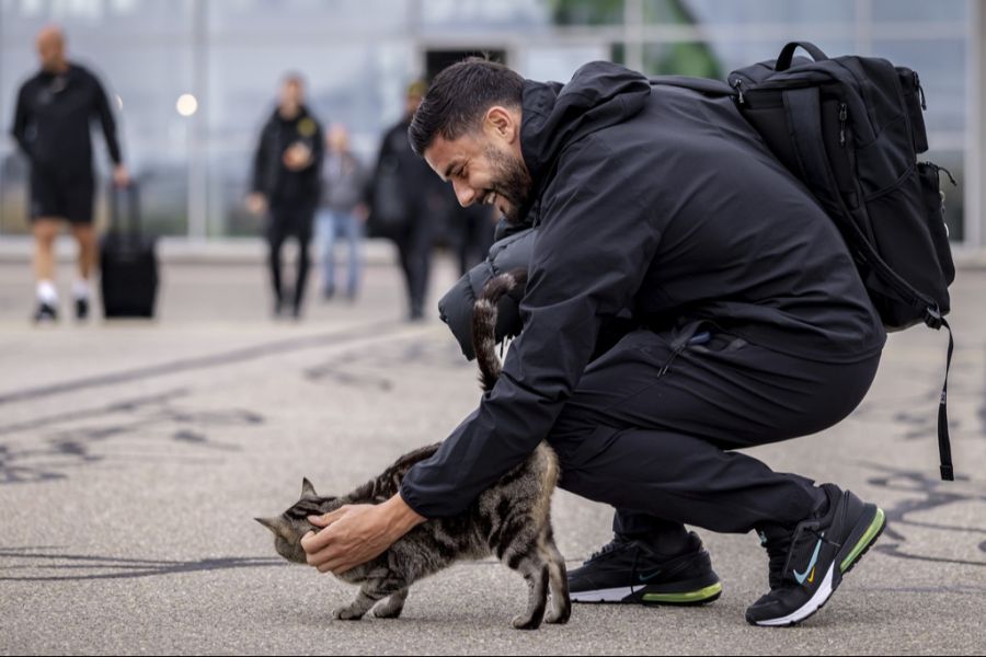 Loris Benito streichelt am Flughafen Belp ein Büsi.