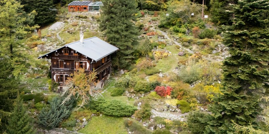 FLORE ALPE, ALPINER GARTEN, ALPEN GARTEN,