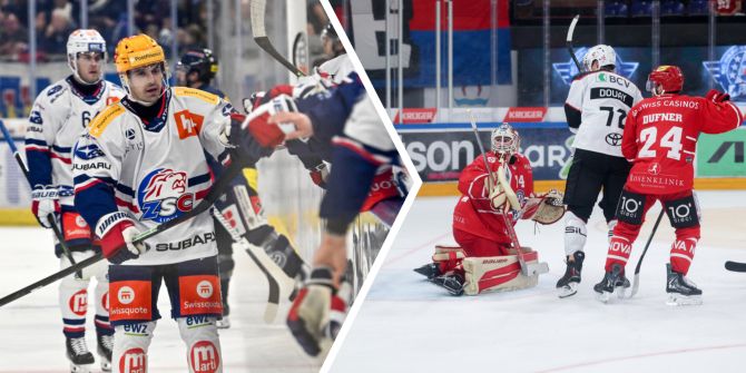 zsc lions