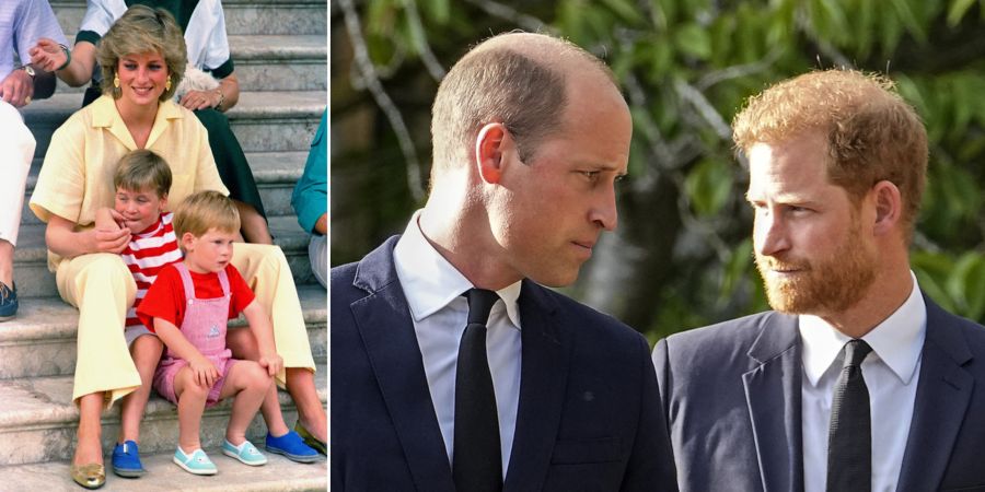 Lady Di William Harry