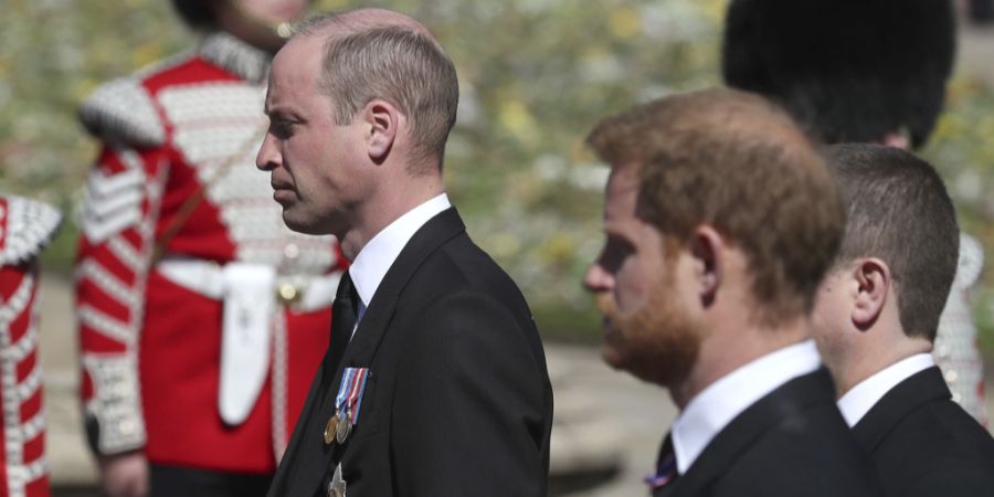 Prinz Harry und Prinz William