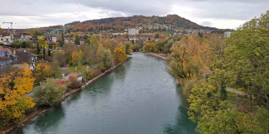 Aare Bern Verbot