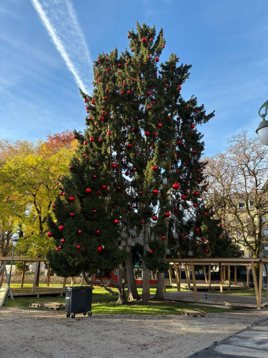 Am grossen Baum auf der Kleinen Schanze hängen bereits Weihnachtskugeln.