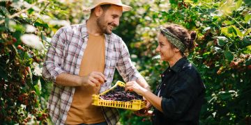 Paar bei der Brombeerernte