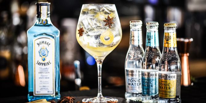 Tonic Gin-Getränk mit frischen Früchten und Gewürzen