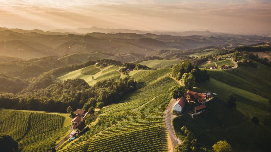 Entlang der Südsteirischen Weinstrasse dreht sich alles um den Wein. Erleben Sie das wertvolle Produkt in all seinen Facetten.