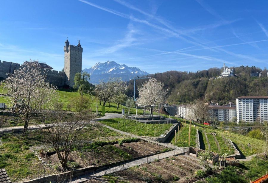 Bramberg-Quartier Luzern
